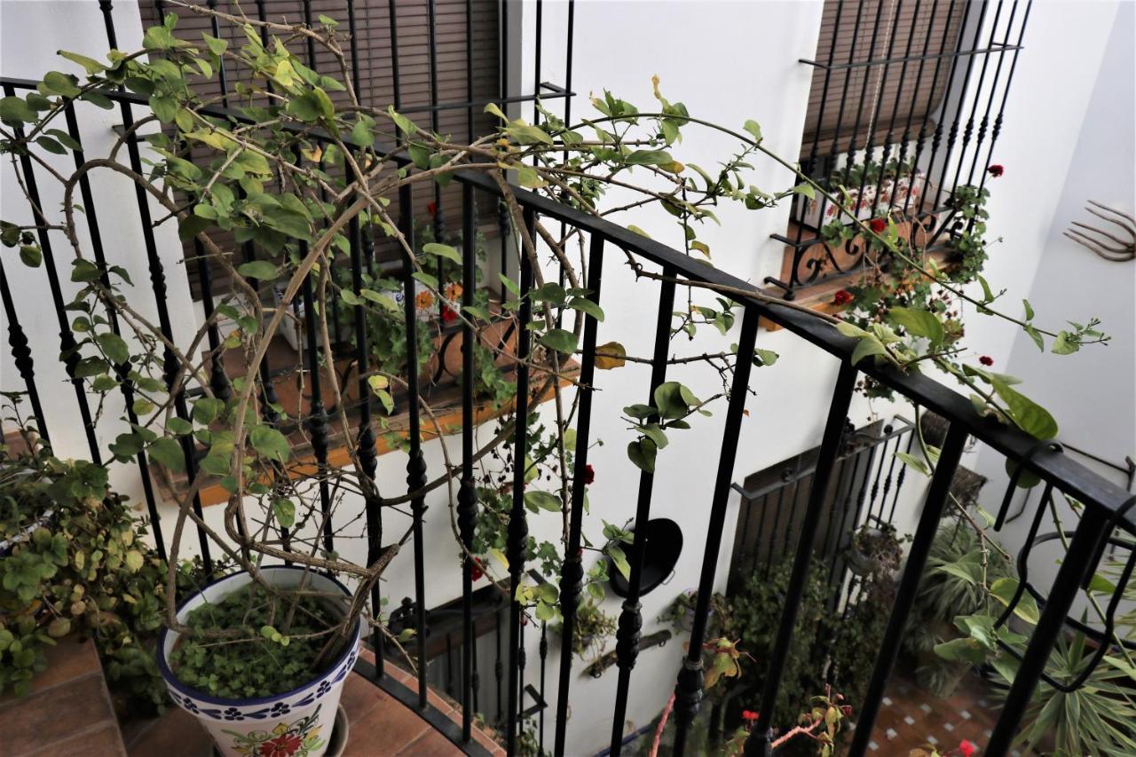 Hostal Ciudad Trigueros Dış mekan fotoğraf